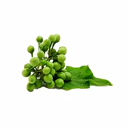 al shaye exim turkey berry