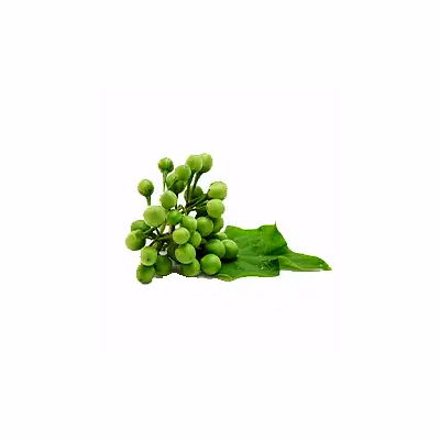 al shaye exim turkey berry