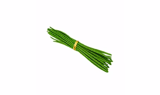 Drumstick