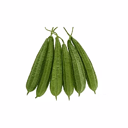 al shaye exim ridge gourd