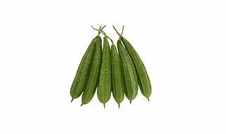 Ridge Gourd