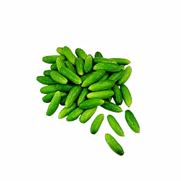 al shaye exim ivy gourd