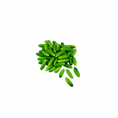 al shaye exim ivy gourd