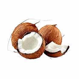 al shaye exim coconut (raw)