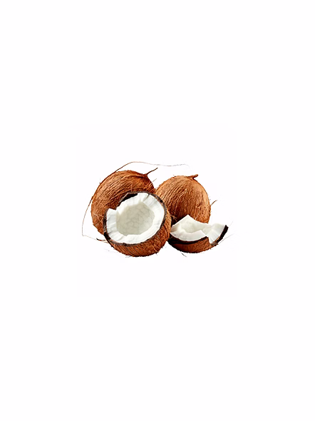 Coconut (Raw)