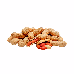 al shaye exim groundnut