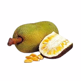 al shaye exim baby jackfruit