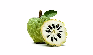 Custard Apple