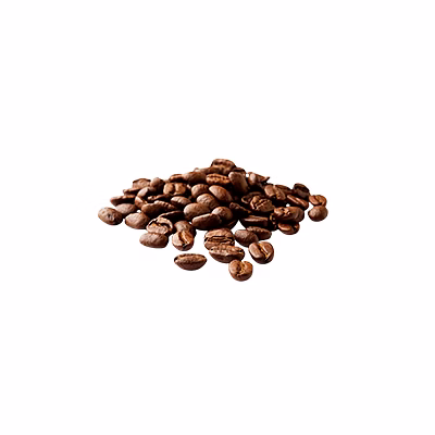 al shaye exim arabica coffee bean