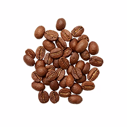al shaye exim robusta coffee bean