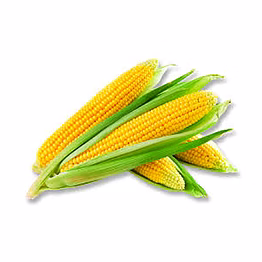 al shaye exim maize
