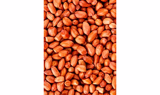 PEANUT