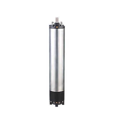 Submersible Pump &amp; Motor-12649785