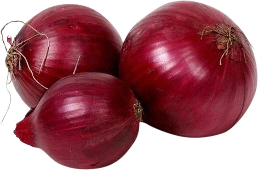 Red Garva Onion-12622804