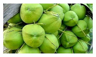 Tender Coconut