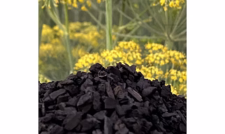 Wood Based Granular Activated Carbon