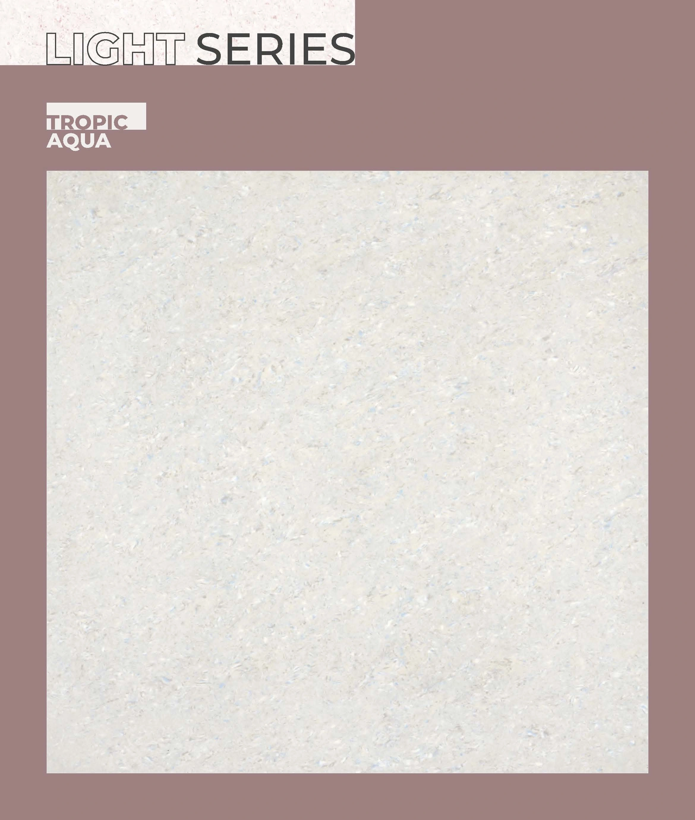 Double Charge Vitrified Tiles-1