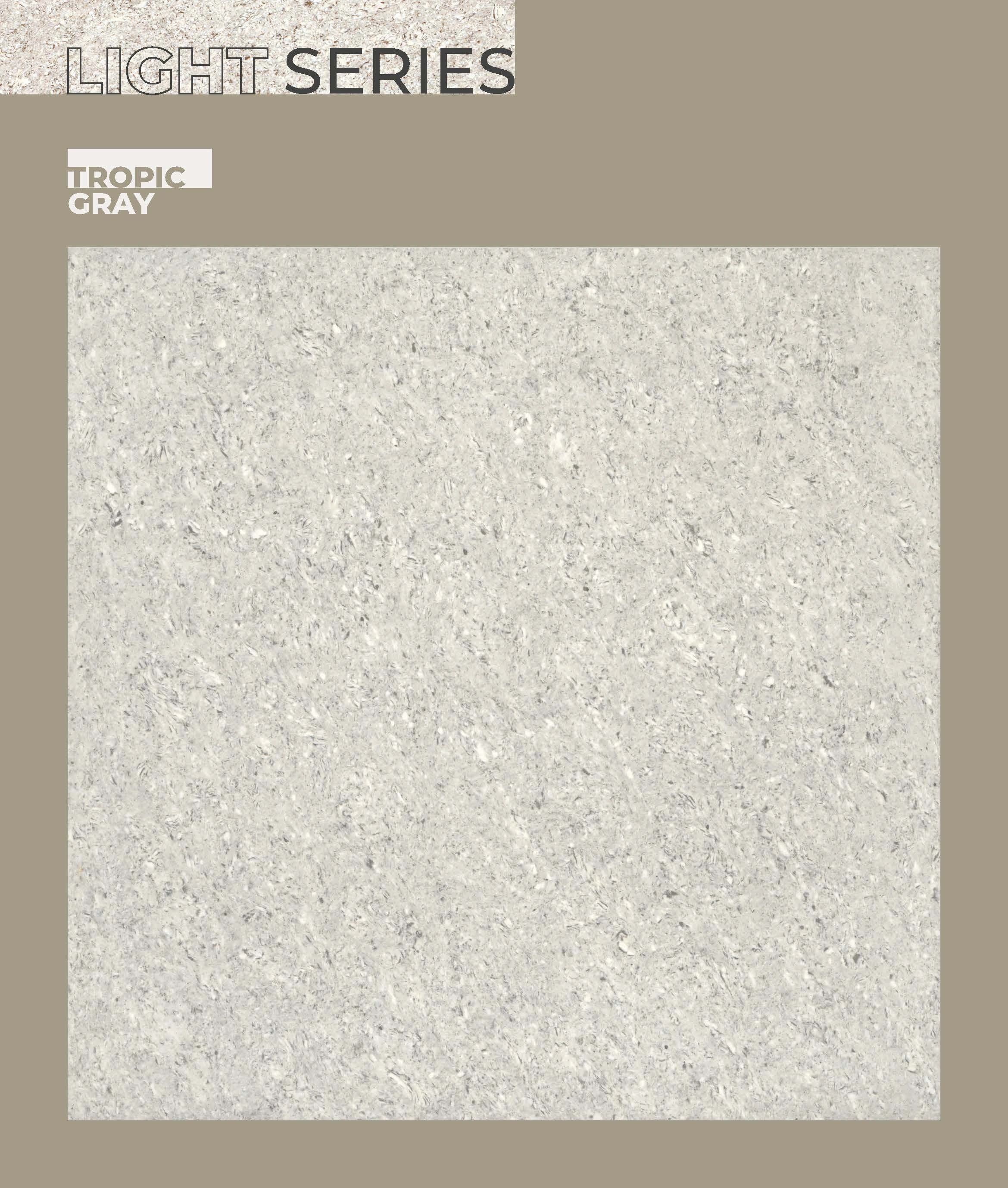 Double Charge Vitrified Tiles-3