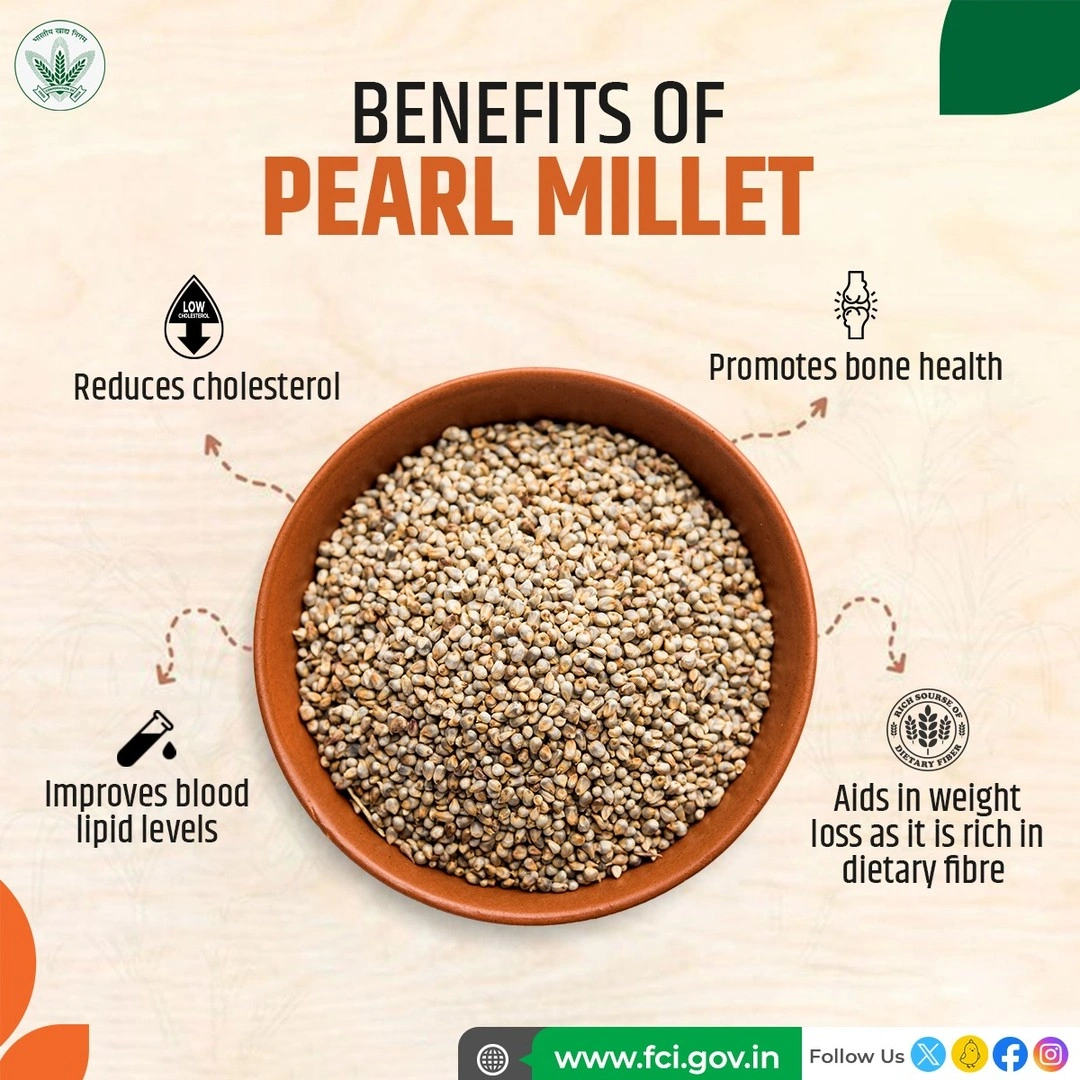 pearl millet-1