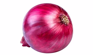FRESH RED ONION–EXPORT QUALITY