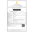 IMPORT EXPORT CODE