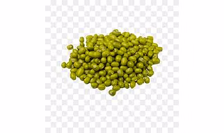 Green Gram (Mung Bean)