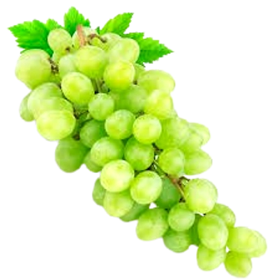 Fresh Grapes-18 MM -25 MM DIAMETER-2