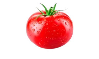 Fresh Tomato