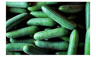 Cucumber