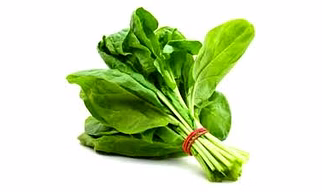 Fresh Spinach