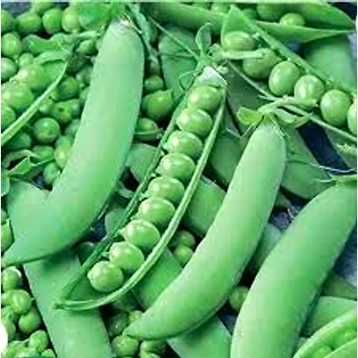 Green Peas-12690863