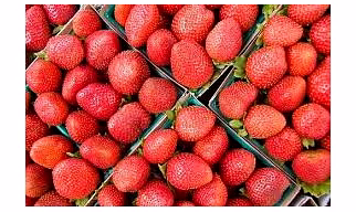Fresh Strawberry