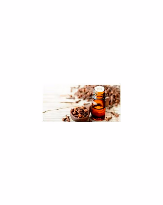 Clove Bud Essential Oil-1