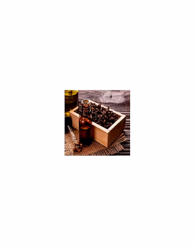 Clove Bud Essential Oil-2