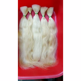 #613# blond hair