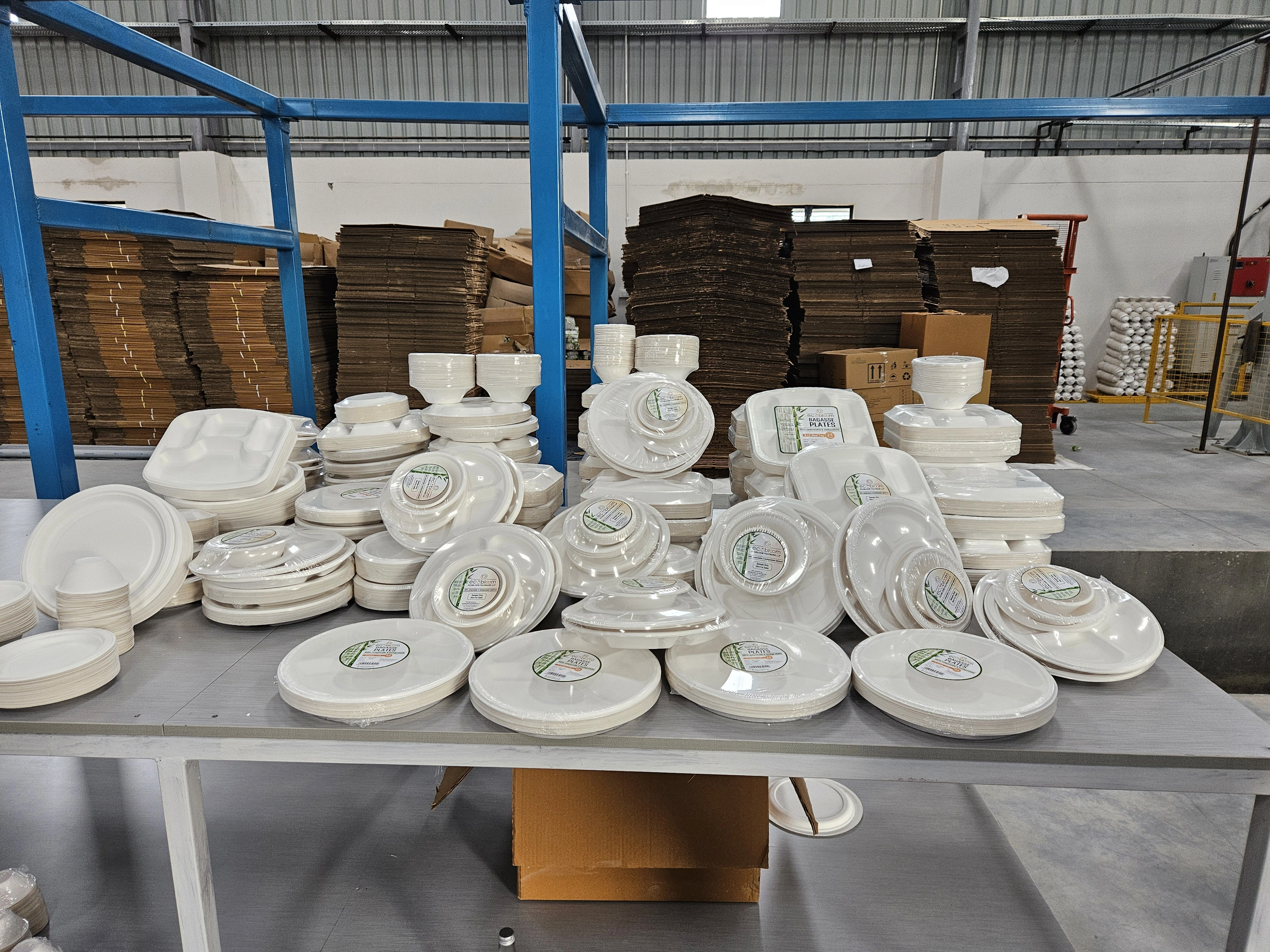 Disposable Tableware Bagasse based-12625984