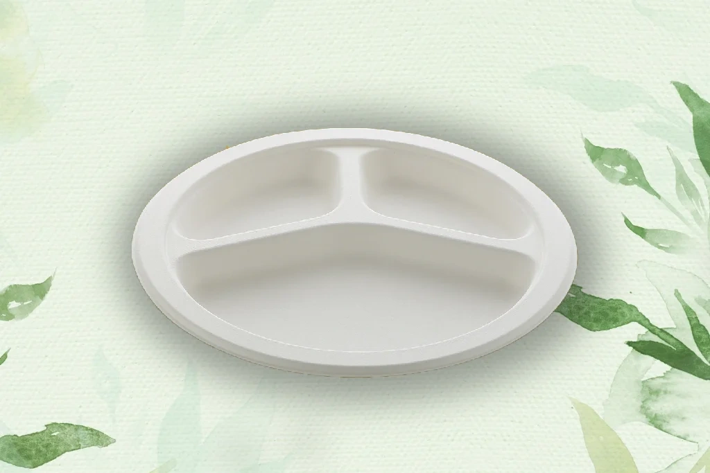 Disposable Tableware Bagasse based-1