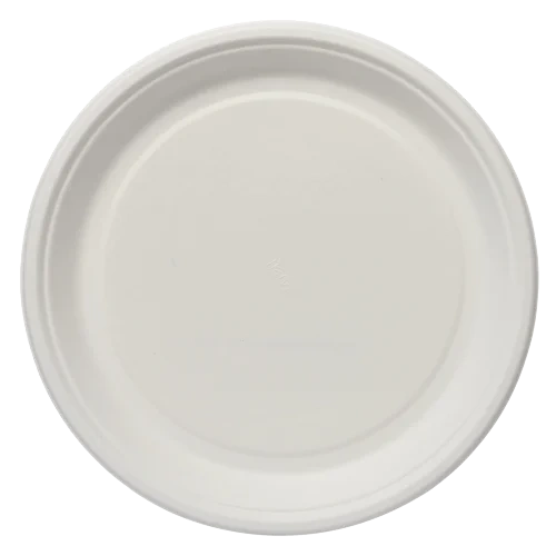 Disposable Tableware Bagasse based-3