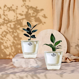 black rubber + peace lily