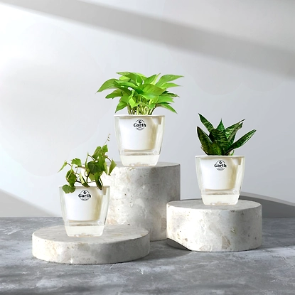 product gallery