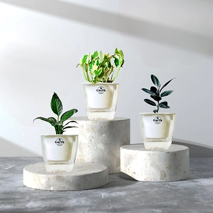 product gallery