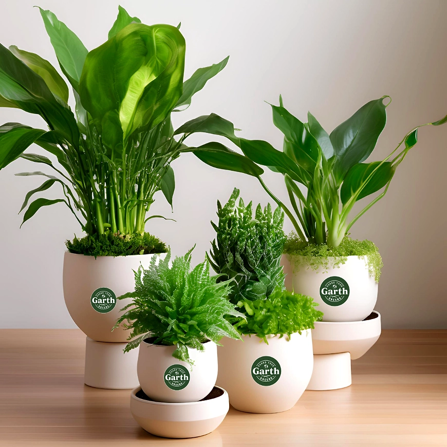 Housewarming Gifts