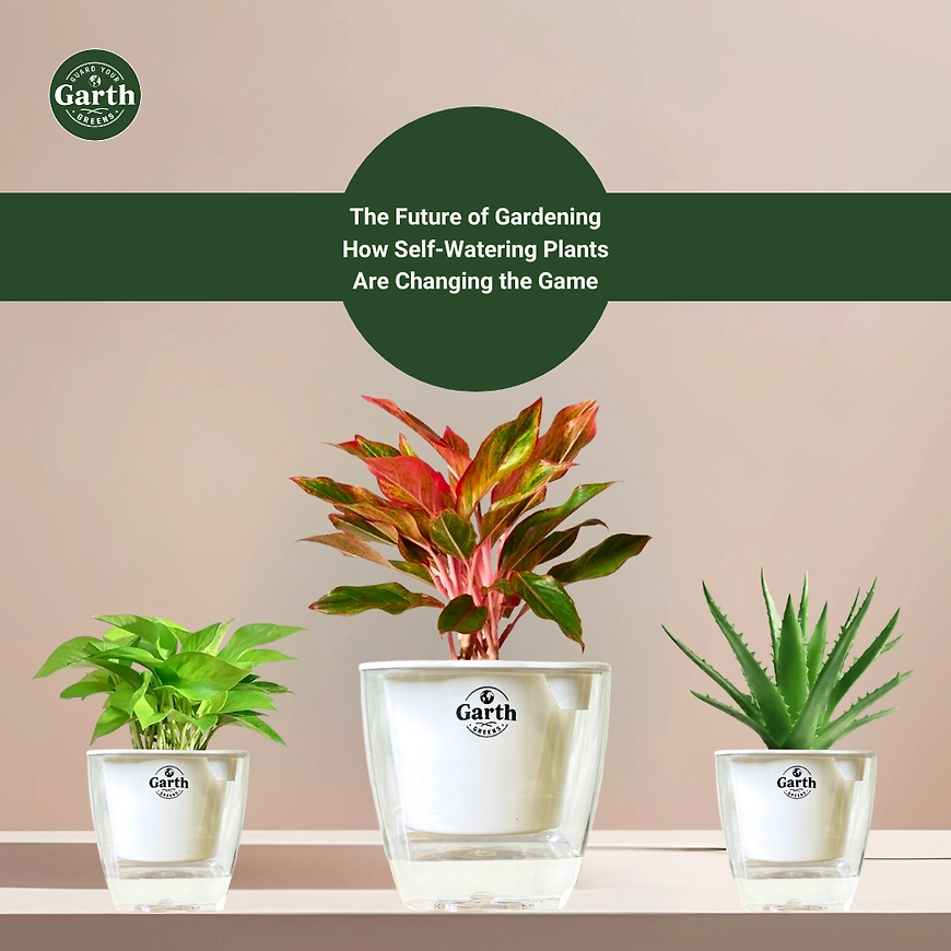 Self-Watering Plants