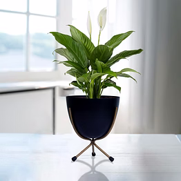 garth luxe lush (pot only)