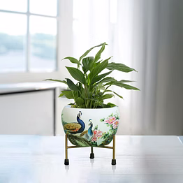 garth luxe charm (pot only)