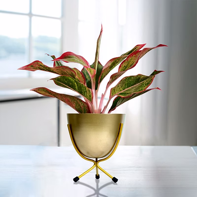 garth luxe glow (pot only)