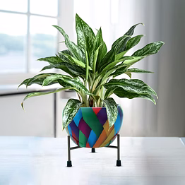 garth luxe joy (pot only)