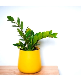 Garth Metal Yellow Pot (Pot Only)