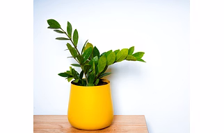 Garth Metal Yellow Pot (Pot Only)