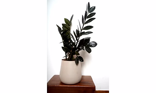 Garth Metal Grey Pot (Pot Only)